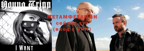крисы Богородицк
