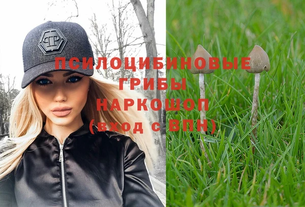 прущий лед Богородск