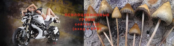 прущий лед Богородск