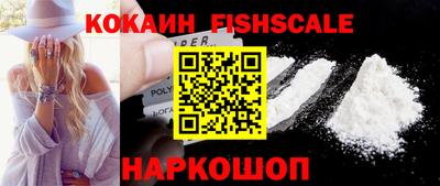шишки Камышлов