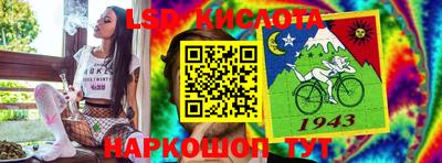 шишки Камышлов
