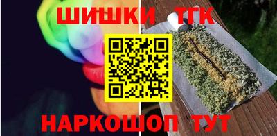 шишки Камышлов