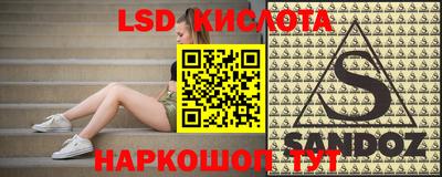 шишки Камышлов