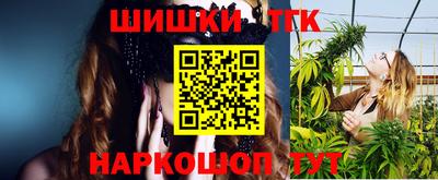 шишки Камышлов
