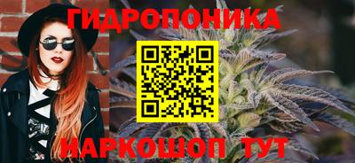 эйфоретик Канаш