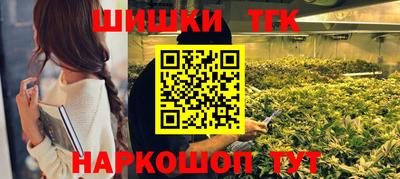 шишки Камышлов