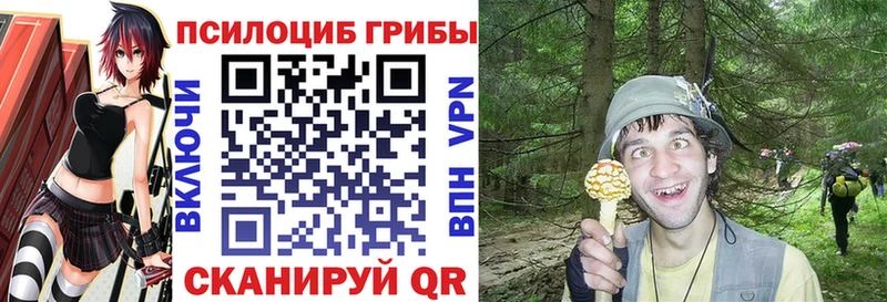 mega ONION Надым Псилоцибиновые грибы Cubensis купить наркоту